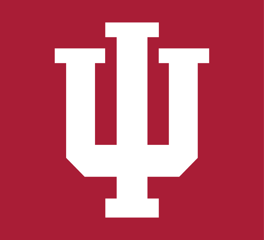 Indiana Hoosiers 2002-Pres Alternate Logo v2 iron on transfers for fabric
